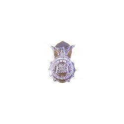 USAF PiN: Security Police Shield Hat Pin Image