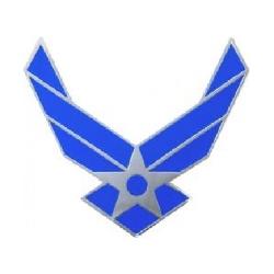 USAF Pin: USAF Wings Image