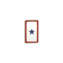 Pin: Blue Star with One Star Image
