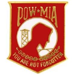 Pin: POW?MIA You Are Not Forgotten (Red) Image