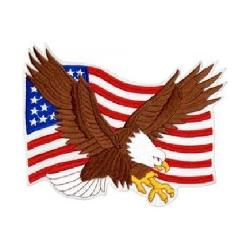 Patch Back: US Flag & Eagle Image