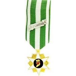 Mini Medals: Vietnam Campaign with Date Mini Medal Image
