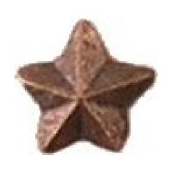 Devises: Bronze Star: Image