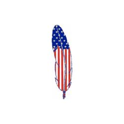 Pin: Native American-US Flag Image