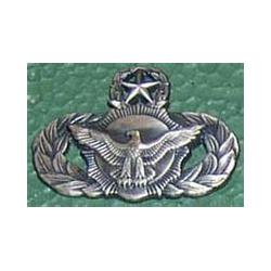 Master Qualification Badge Security Police (Mini) Image
