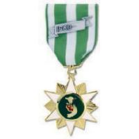 Medals and Ribbons: Full Size Medal (Bar Included) Image
